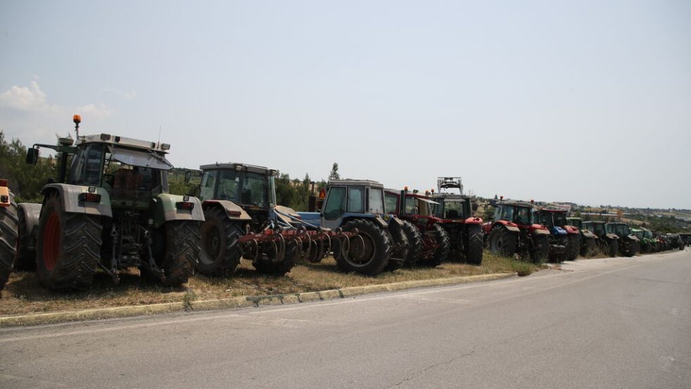 agrotes